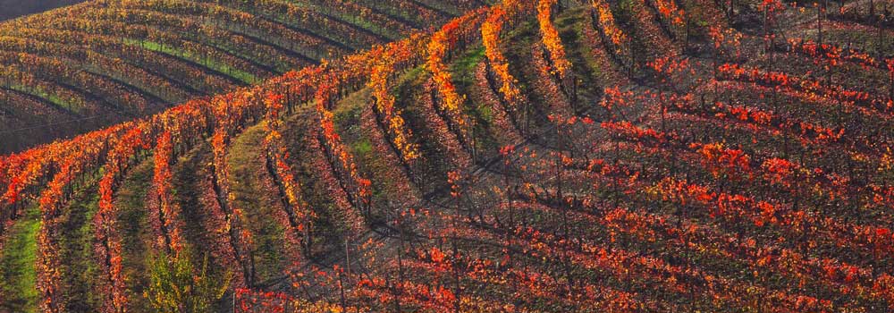 langhe